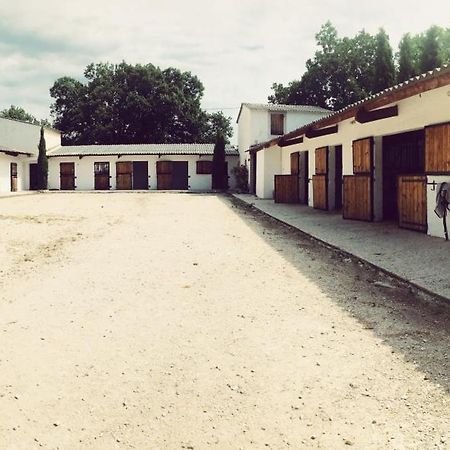 Maison Au Milieu Des Chevaux L'Isle-sur-la-Sorgue Kültér fotó